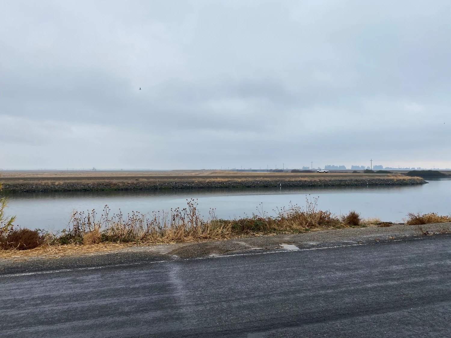 Dr. Rehm – Tunnelbau-Service – Delta Conveyance Projektca. 65 km Trinkwassertunnelca. 15 m BohrdurchmesserKalifornien/USA